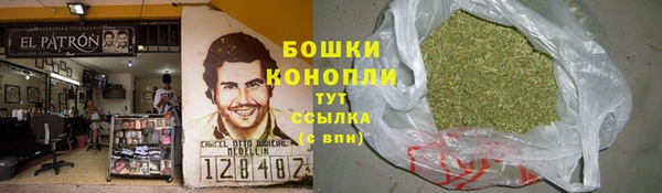 молекула духа Магас