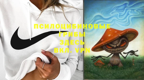 молекула духа Магас