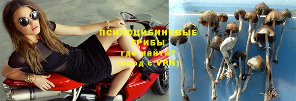 молекула духа Магас