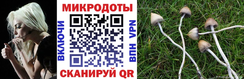 Галлюциногенные грибы Cubensis  Купить  Покровск 